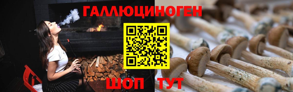 Галлюциногенные грибы GOLDEN TEACHER Десногорск